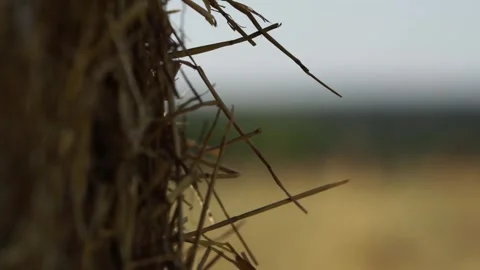 Haystacks Stock Footage 265070533