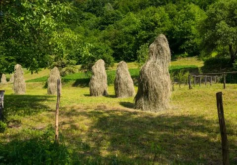 Haystacks  in the garden Stock Photos