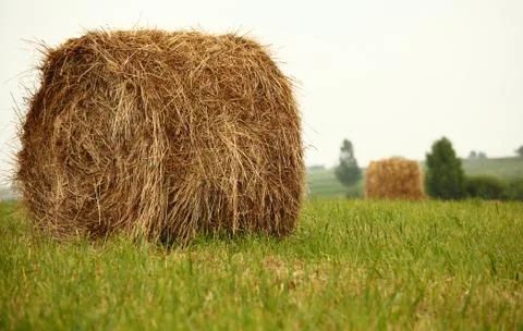 Haystacks Stock Photos
