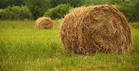 Haystacks Foto stock