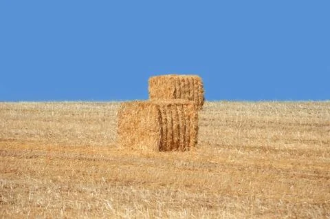 Haystacks Stock Photos