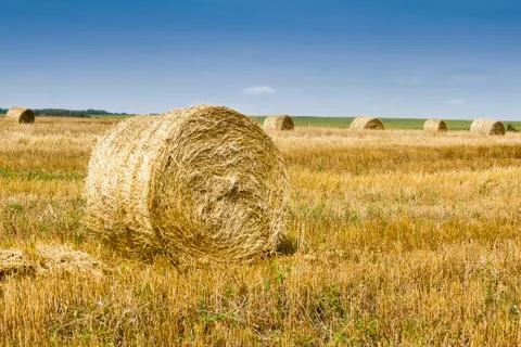 Haystacks Stock Photos
