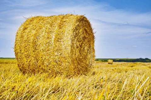 Haystacks Stock Photos