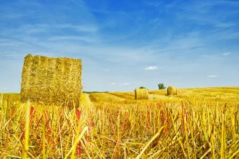 Haystacks Stock Photos