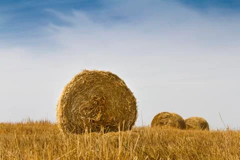 Haystacks Foto stock
