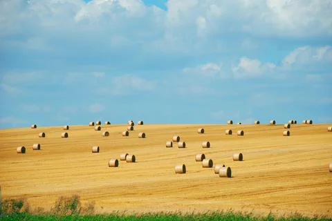 Haystacks Stock Photos