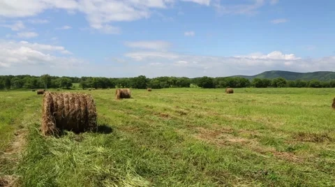 Haystacks in rolls lie on the sloping meadow fields. Stock Footage 53203020