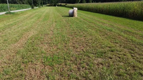 Haystacks seen from the drone Stock Footage 291343550