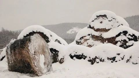 Haystacks in the snow at winter Stock Footage 70597323
