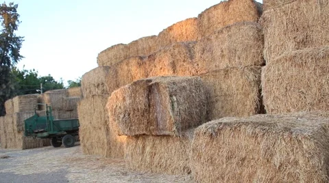 Haystock in the sun Vídeos de archivo 41525892