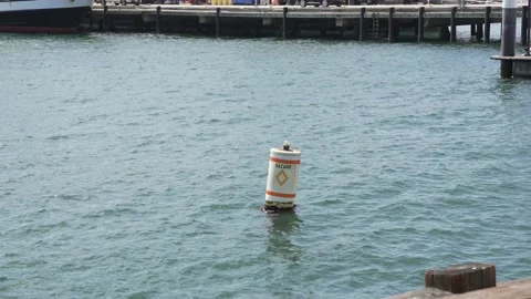 Hazard dingy floating in harbor Stock Footage 157662483