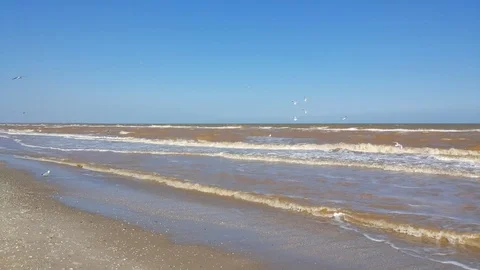 Hazard waves and birds Stock Footage 95579369