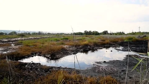 Hazardous chemicals are released into the soil. Contamination. Stock Footage 222586998