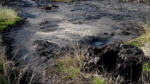 Hazardous chemicals are released into the soil. Contamination. Видео 222587307