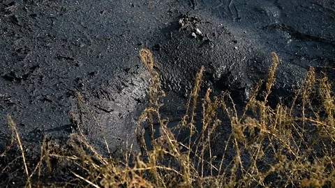 Hazardous chemicals are released into the soil. Contamination. Видео 223689144