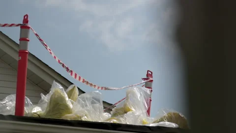Hazardous waste old insulation containing asbestos. Stock Footage 336650766