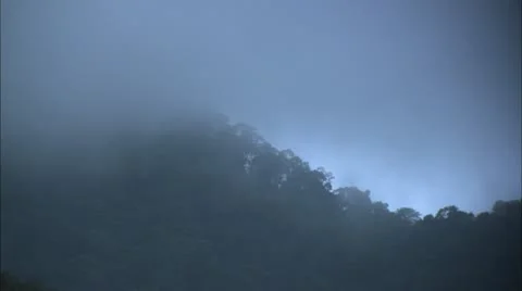 Haze Covers Forest Canopy, Tijuca Brazil HD Video Stock Footage 22146357