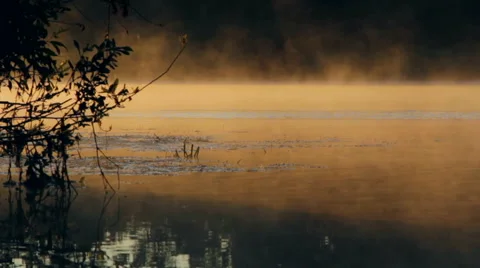 Haze over lake Stock-Footage 54461380