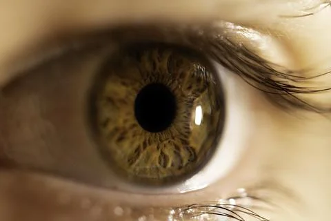 Hazel colored Iris Macro Foto stock