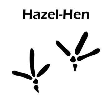 Hazel-Hen Footprint Stock Illustration