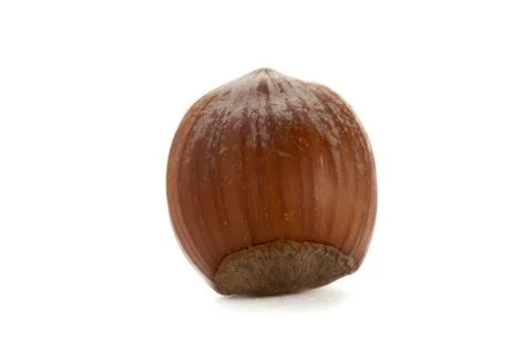 Hazel nut Stock Photos