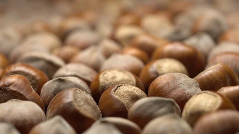 Hazel nuts in nutshell. Rotation. Closeup. Selective focus. Stock Footage 99373424