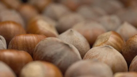 Hazel nuts in nutshell. Rotation. Closeup. Selective focus. Stock Footage 99373698