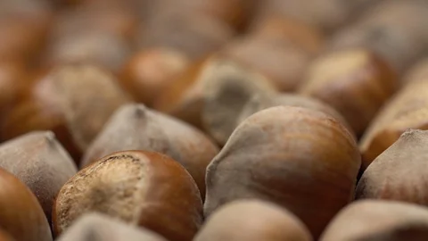 Hazel nuts in nutshell. Rotation. Closeup. Selective focus. Stock Footage 99373841