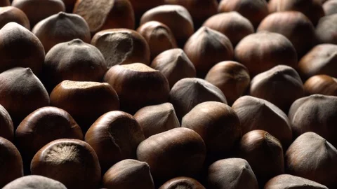 Hazel nuts in nutshell. Rotation. Closeup. Selective focus. Stock Footage 99374101