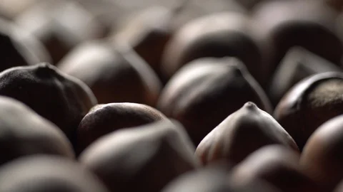 Hazel nuts in nutshell. Rotation. Closeup. Selective focus. Stock Footage 99374110