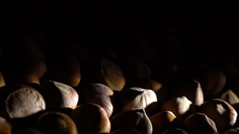 Hazel nuts in nutshell. Rotation. Closeup. Selective focus. Stock Footage 99374120