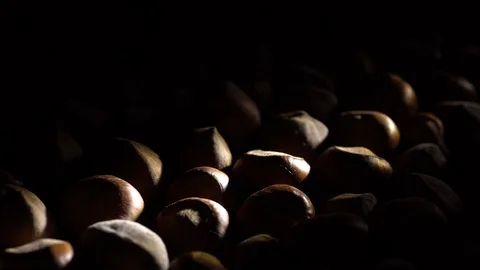 Hazel nuts in nutshell. Rotation. Closeup. Selective focus. Stock Footage 99374295
