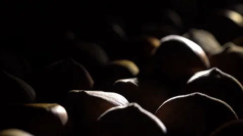Hazel nuts in nutshell. Rotation. Closeup. Selective focus. Stock Footage 99374538