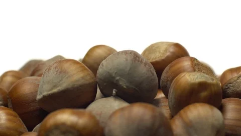 Hazel nuts in nutshell. Rotation. Closeup. Selective focus. Isolated on white. Stock Footage 101552138