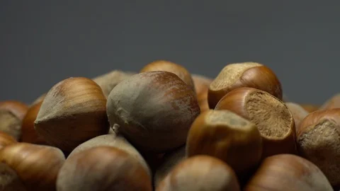 Hazel nuts in nutshell. Rotation. Closeup.  Walnuts in a bowl. Grey background. Stock Footage 101552199