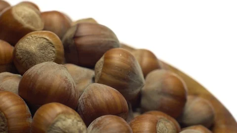 Hazel nuts in nutshell. Rotation. Closeup. Selective focus. Isolated on white. Stock Footage 101552971