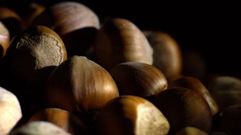 Hazel nuts in nutshell. Rotation. Closeup. Selective focus. Black background. Stock Footage 101553771