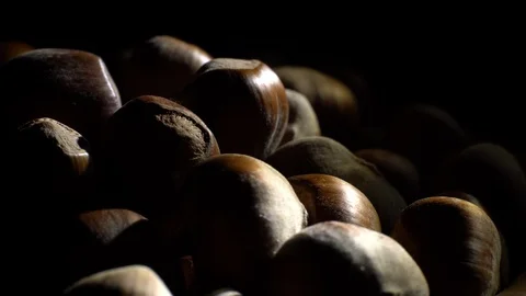 Hazel nuts in nutshell. Rotation. Closeup. Selective focus. Black background. Stock Footage 101554234