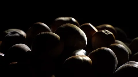Hazel nuts in nutshell. Rotation. Closeup. Selective focus. Black background. Stock Footage 101554415