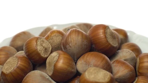 Hazel nuts in nutshell. Rotation. Closeup. Selective focus. Isolated on white. Stock Footage 101555418
