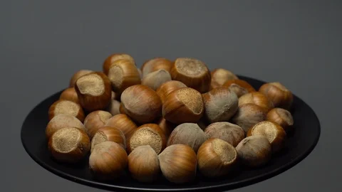Hazel nuts in nutshell. Rotation. Closeup.  Walnuts in a bowl. Grey background. Stock Footage 101556337