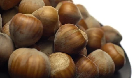 Hazel nuts in nutshell. Rotation. Closeup. Selective focus. Isolated on white. Stock Footage 101556421