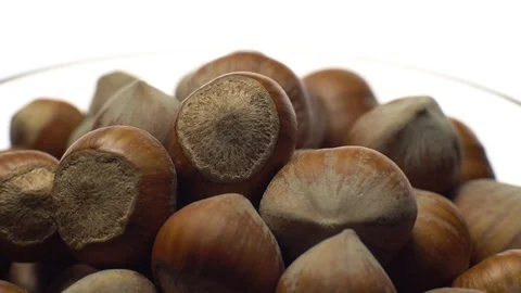 Hazel nuts in nutshell. Rotation. Closeup. Selective focus. Isolated on white. Stock Footage 101587946