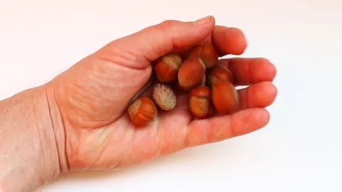 Hazel nuts in the palm close up 스톡 동영상 105917986