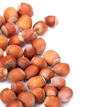 Hazel nuts Stock Photos
