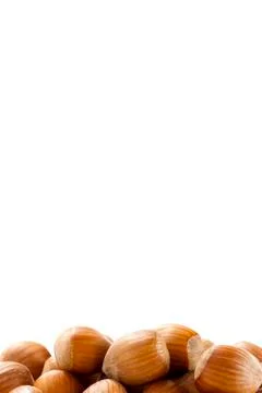 Hazel nuts Stock Photos