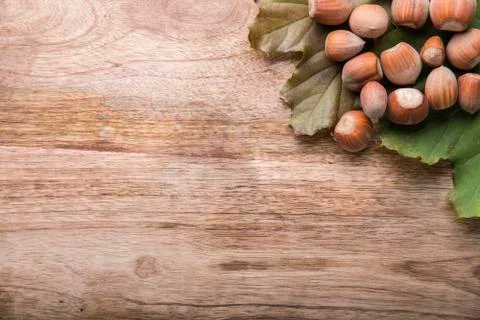 Hazel Fotos de archivo