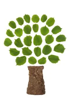 Hazel Tree Surreal Abstract Save the Trees Logo Stock Photos