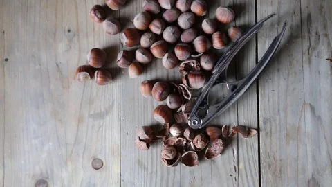 Hazellnuts on wood background 動画素材 69861112