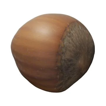 Hazelnut 3d illustration isolated on the white background Stock Illustration
